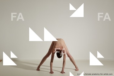 tracey reference 01 36