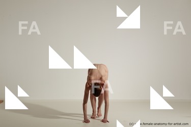 tracey reference 01 43