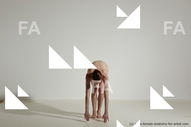 tracey reference 01 46