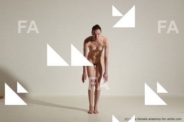 tracey reference 01 49