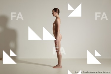 tracey reference 02 03