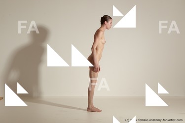 tracey reference 04 67