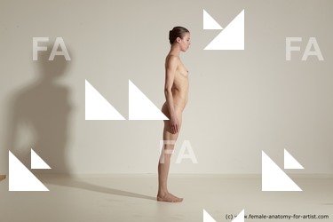 tracey reference 04 68