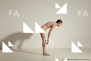 tracey reference 04 63