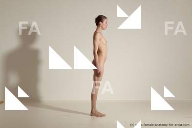 tracey reference 04 71