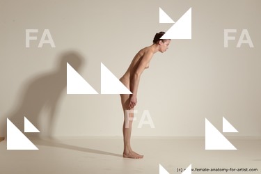 tracey reference 04 65