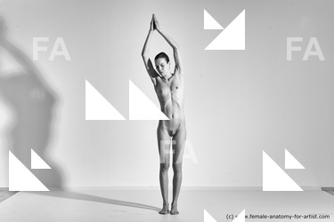 Nude Gymnastic poses Woman White Moving poses Slim long brown Dynamic poses Pinup