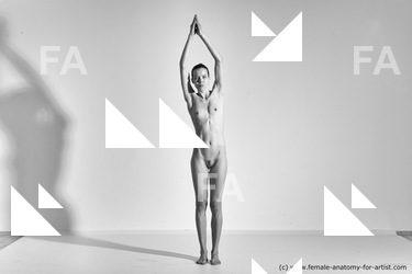 Nude Gymnastic poses Woman White Moving poses Slim long brown Dynamic poses Pinup