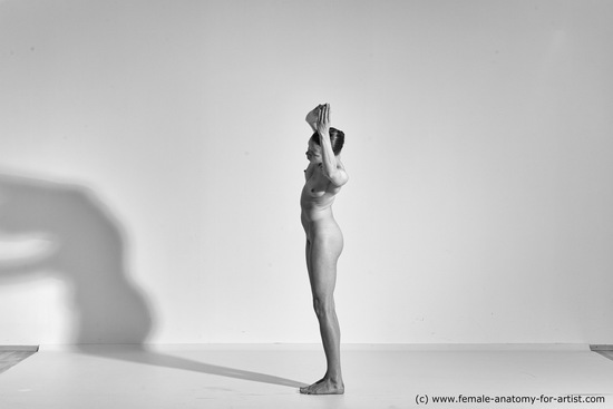 Nude Gymnastic poses Woman White Moving poses Slim long brown Dynamic poses Pinup