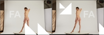 stereoscopic denisa 003