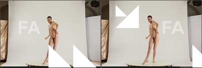 stereoscopic denisa 011