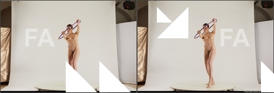 stereoscopic denisa 211