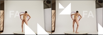 stereoscopic denisa 262