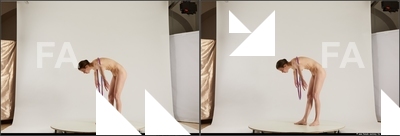 stereoscopic denisa 267