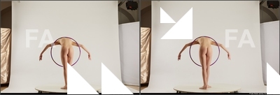 stereoscopic denisa 269