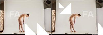 stereoscopic denisa 271