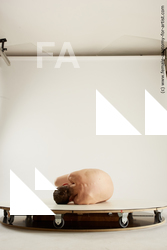 Nude Woman White Laying poses - ALL Slim Laying poses - on back medium brown Multi angle poses Pinup