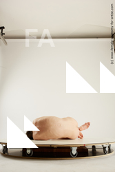 tracey laying 01 05c