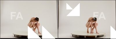 stereoscopic denisa 602