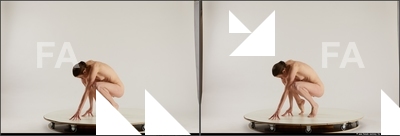 stereoscopic denisa 604