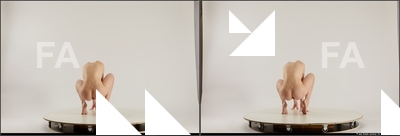 stereoscopic denisa 607