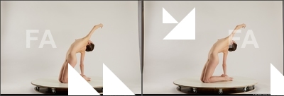 stereoscopic denisa 612