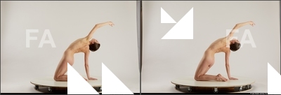 stereoscopic denisa 613