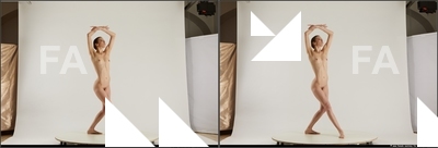 stereoscopic denisa 041