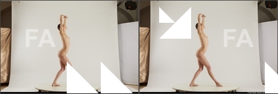 stereoscopic denisa 048