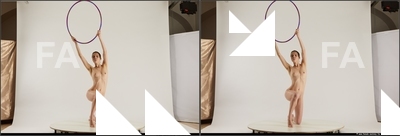 stereoscopic denisa 311