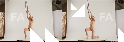 stereoscopic denisa 312