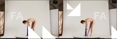 stereoscopic denisa 491