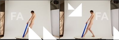 stereoscopic denisa 500