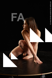 Nude Woman White Kneeling poses - ALL Slim medium brown Standard Photoshoot Pinup