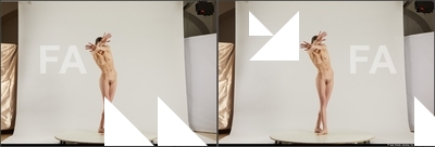 stereoscopic denisa 081