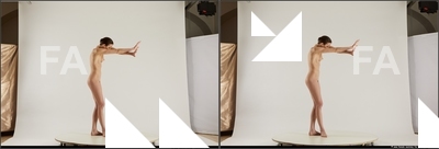 stereoscopic denisa 088