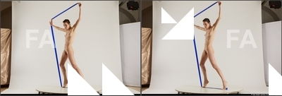 stereoscopic denisa 402