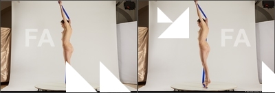 stereoscopic denisa 403