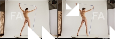 stereoscopic denisa 405