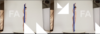 stereoscopic denisa 407