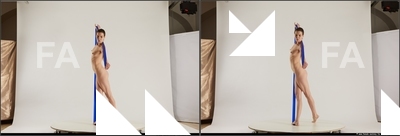 stereoscopic denisa 411