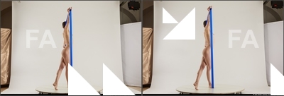 stereoscopic denisa 415