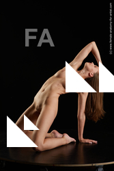 Nude Woman White Kneeling poses - ALL Slim Kneeling poses - on both knees long brown Standard Photoshoot Pinup