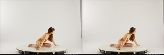Nude Woman White Kneeling poses - ALL Slim Kneeling poses - on both knees long brown 3D Stereoscopic poses Pinup
