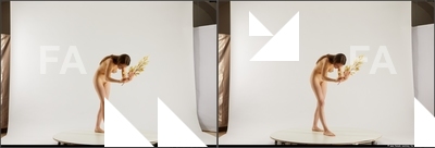 stereoscopic kristyna 0458