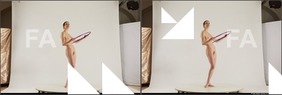 stereoscopic denisa 233