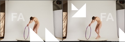 stereoscopic denisa 387