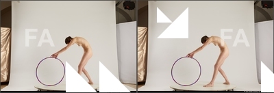 stereoscopic denisa 388