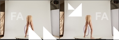 stereoscopic denisa 390