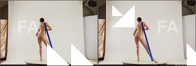 stereoscopic denisa 470